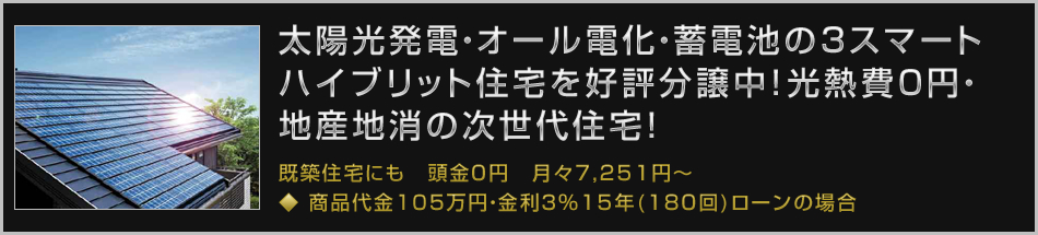 ハイブリッド住宅